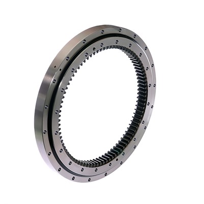 R110-7  回轉(zhuǎn)支承